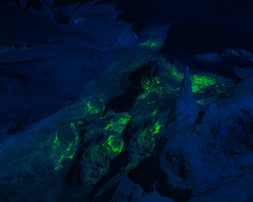 16. Fluorescence of radioactive mineral (Russia), 2019 Glow of uranium at a depth of 276 metres in an abandoned mine. Here the prisoners of labour camps would mine uranium, without the proper protection and safety precautions. As a rule, such prisoners would die after half a year of such work.